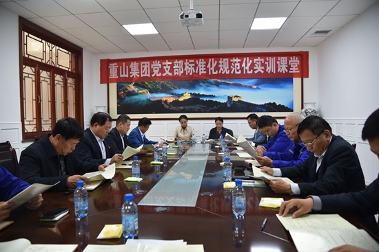 集團(tuán)組織黨支部標(biāo)準(zhǔn)化規(guī)范化實訓(xùn)46
