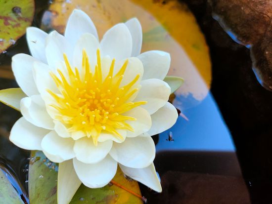 “醉美”重山秋（二）