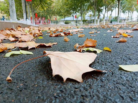 “醉美”重山秋（二）2