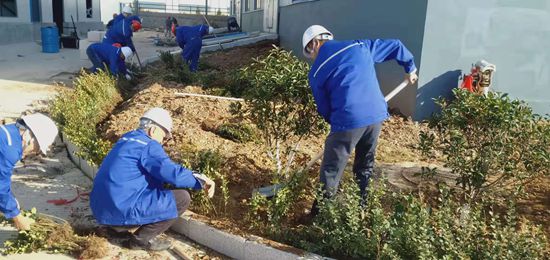 集團(tuán)機(jī)關(guān)黨支部組織綠化活動(dòng)77