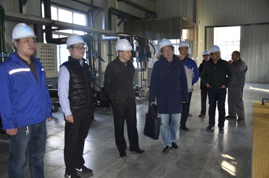 魯中水泥順利通過水平衡測試驗(yàn)收87