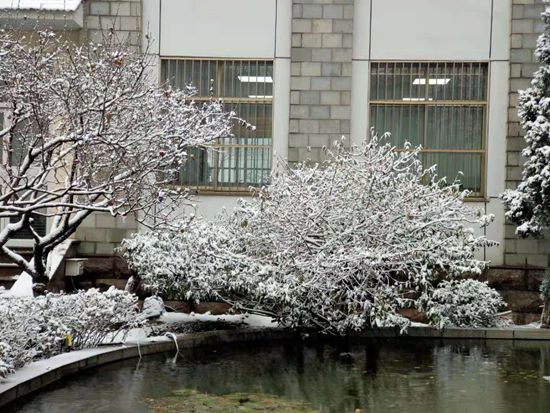 大修進(jìn)行時，這里有一群可愛的重山人......41