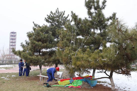 大紅燈籠高高掛 喜氣洋洋過(guò)春節(jié)68