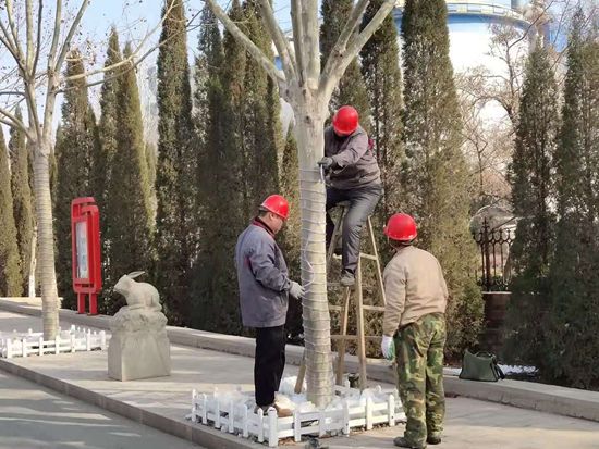 美麗重山的踐行者——記魯中水泥動(dòng)力車(chē)間46