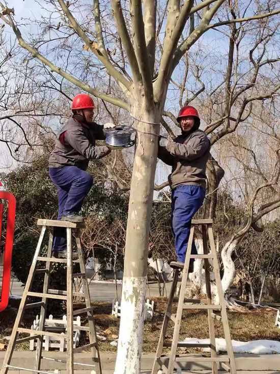 美麗重山的踐行者——記魯中水泥動(dòng)力車(chē)間46