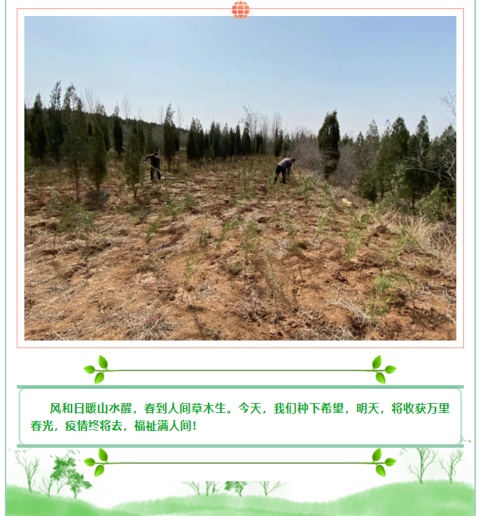 植一片希望 愿山河無恙14