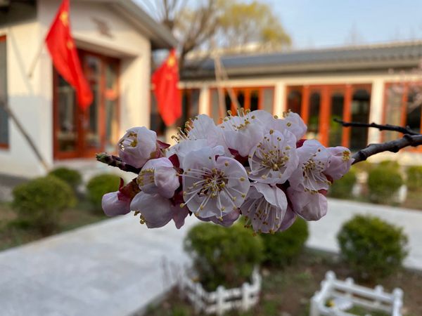 重山春已到 奮斗正當(dāng)時21