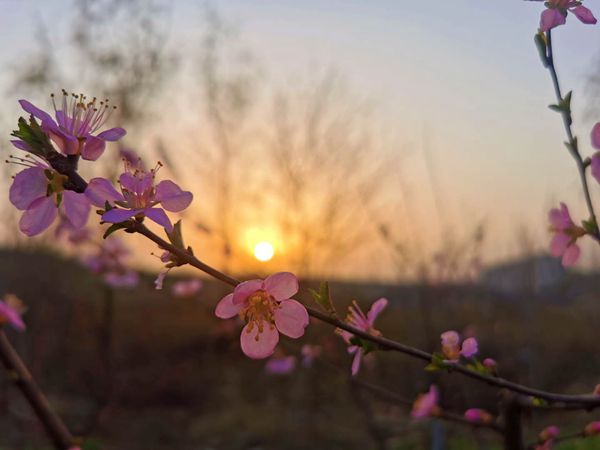 重山春已到 奮斗正當(dāng)時21