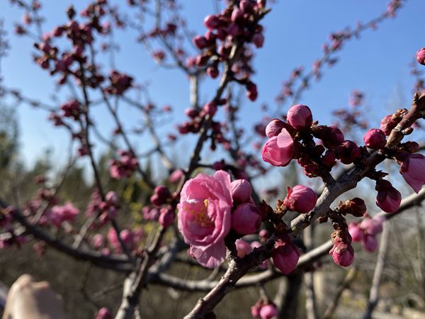 重山春已到 奮斗正當(dāng)時21