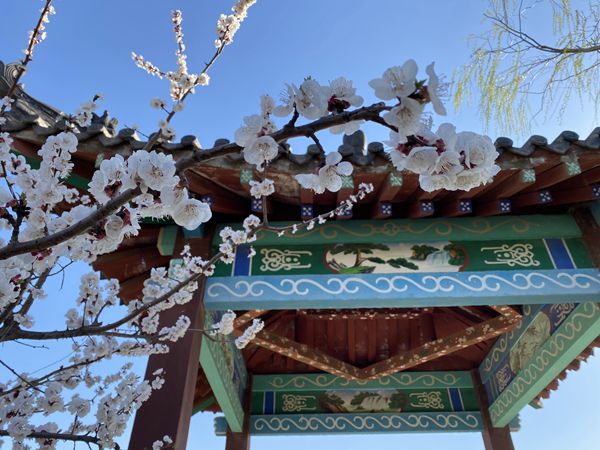 重山春已到 奮斗正當(dāng)時21