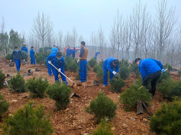 植樹綠化進(jìn)行時70