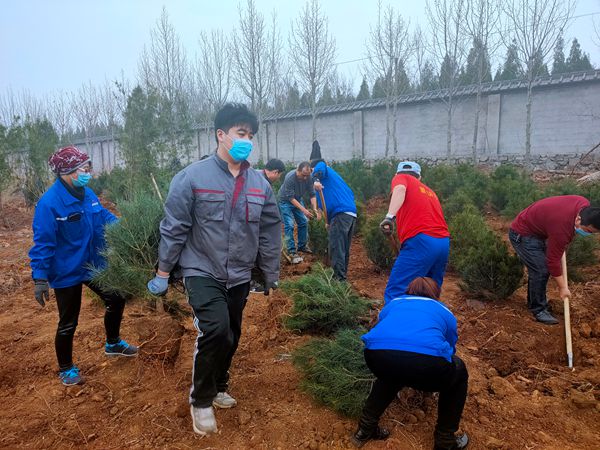 植樹綠化進(jìn)行時70