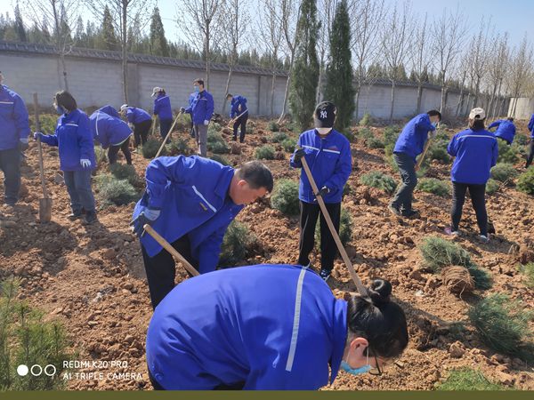 植樹造林 魯中水泥再行動(dòng)35