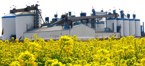 【重山影像】重山春已到 奮斗正當時（五）2