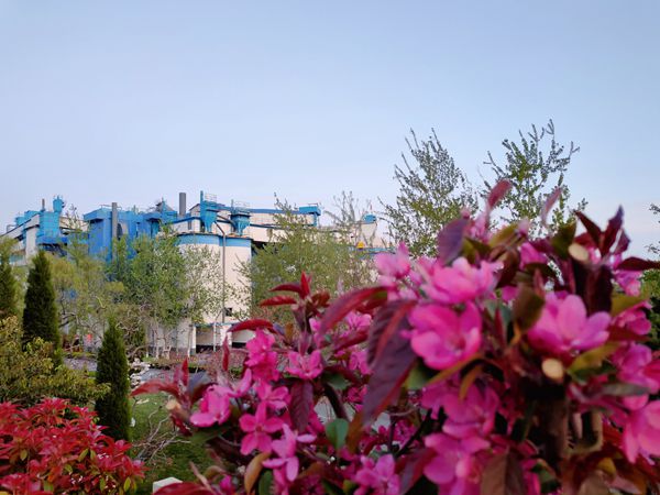 【重山影像】重山春已到 奮斗正當時（五）2