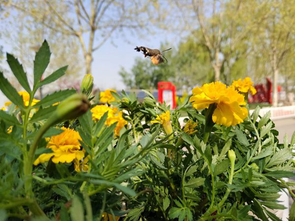 【重山影像】重山春已到 奮斗正當時（五）2