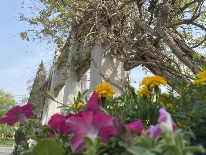 【重山影像】重山春已到 奮斗正當時（六）25