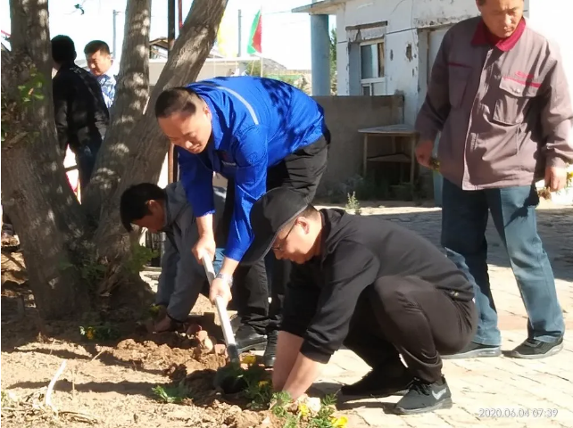 鵬峰化工開展綠化活動(dòng)85