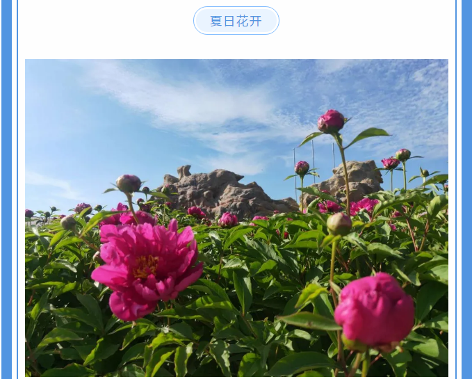 【重山影像】愿你以夢為馬 不負(fù)韶華94