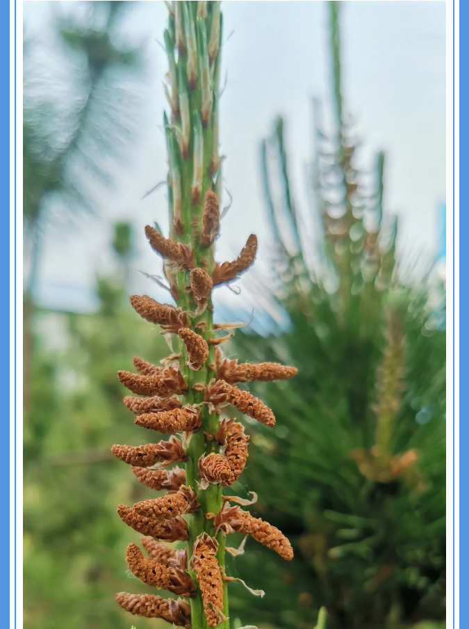 【重山影像】愿你以夢為馬 不負(fù)韶華94