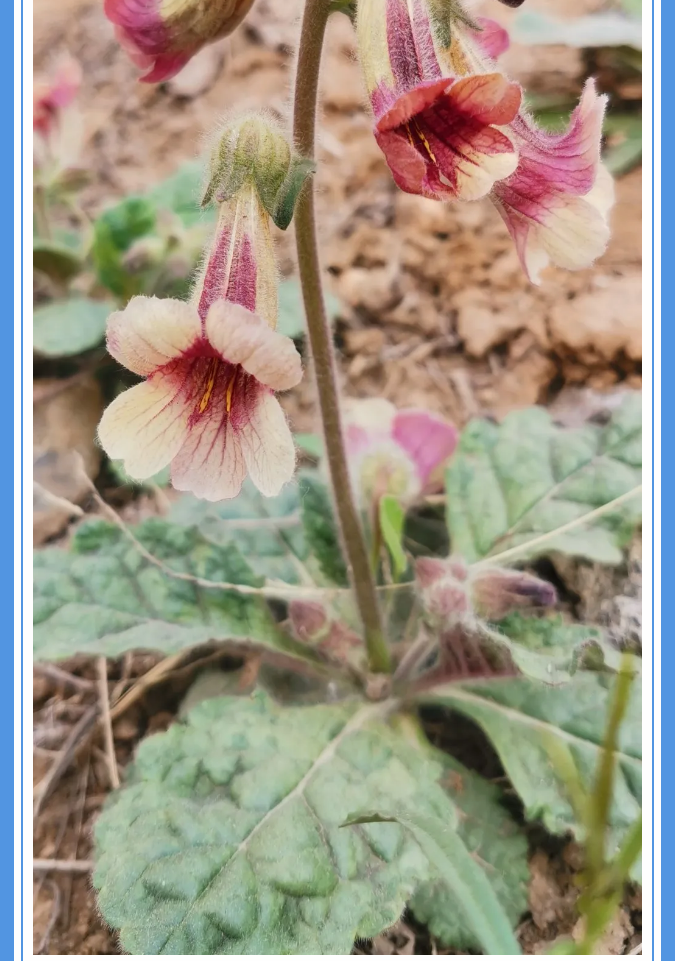 【重山影像】愿你以夢為馬 不負(fù)韶華94