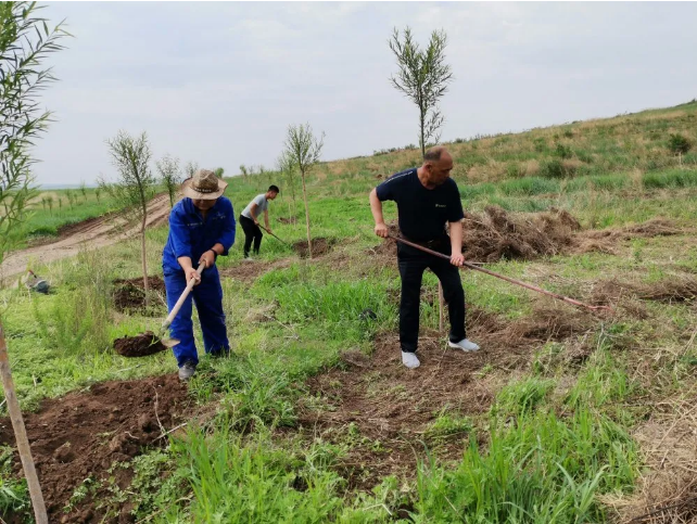 螢澤礦業(yè)開展綠化活動(dòng)61