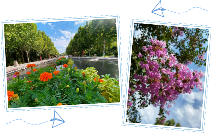 重山影像｜藍(lán)天白云下的綠色重山8