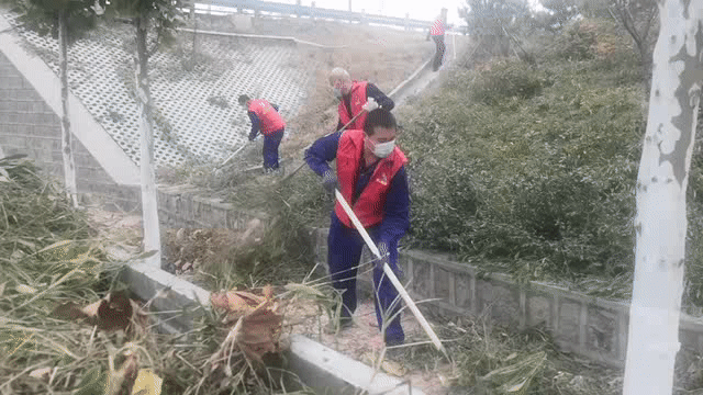 擇善明德 志愿紅“美顏”綠化區(qū) —集團(tuán)黨委組織黨員志愿服務(wù)活動(dòng)68