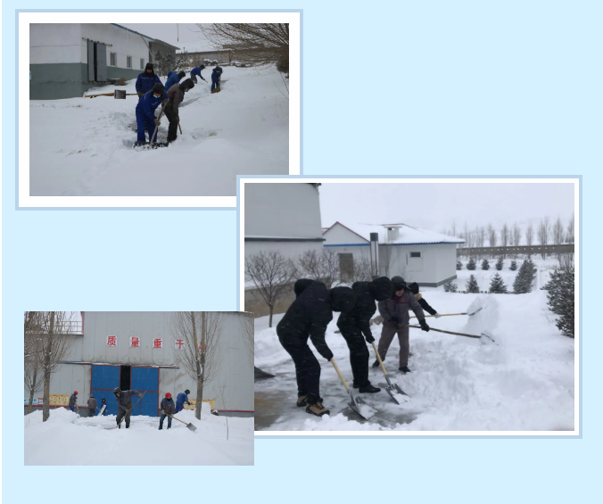 不畏嚴(yán)寒沖鋒在前 實(shí)際行動踐“致良知”17