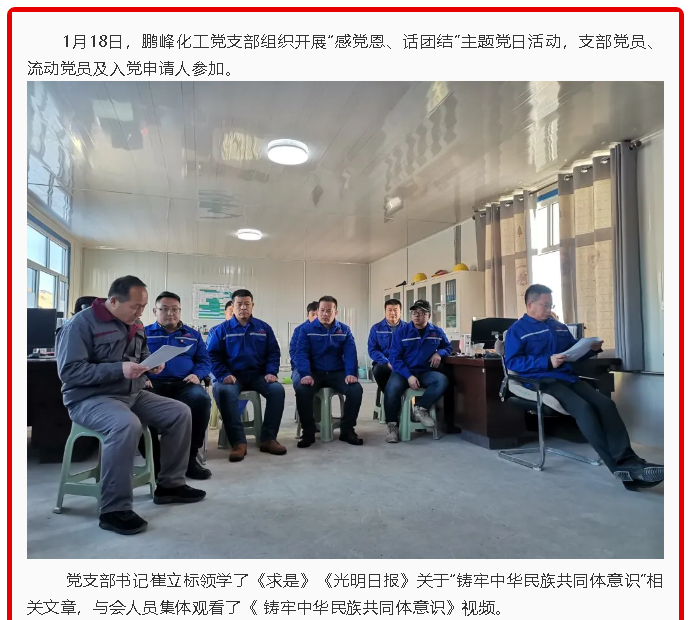 鵬峰化工黨支部開(kāi)展主題黨日活動(dòng)60