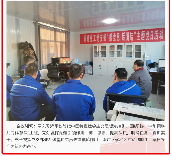 鵬峰化工黨支部開(kāi)展主題黨日活動(dòng)60