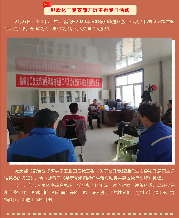 鵬峰化工黨支部開展主題黨日活動(dòng)89