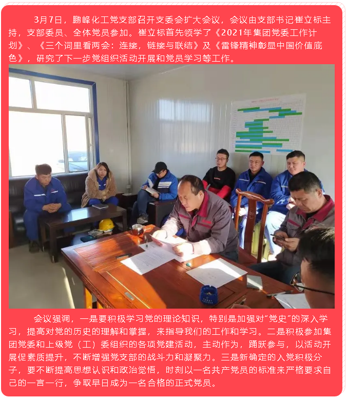 集團(tuán)黨委、各支部開展督查和黨建活動(dòng)73