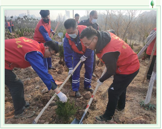 【植樹節(jié)】植一片綠色 播種一片希望——集團(tuán)黨委組織植樹綠化活動27