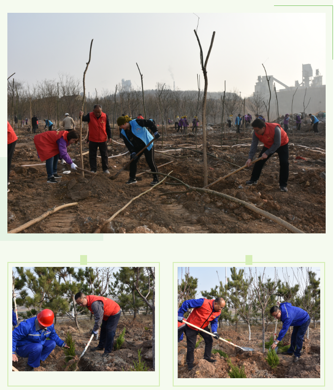 【植樹節(jié)】植一片綠色 播種一片希望——集團(tuán)黨委組織植樹綠化活動27