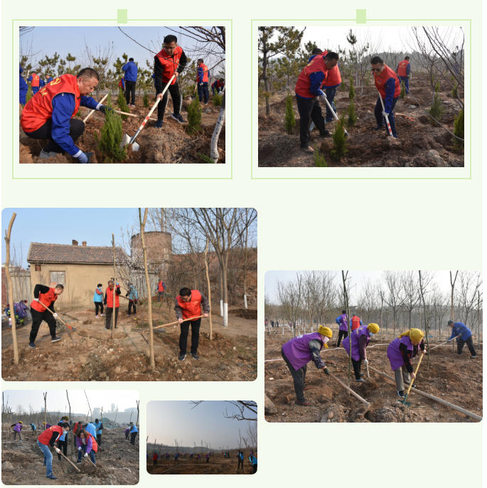 【植樹節(jié)】植一片綠色 播種一片希望——集團(tuán)黨委組織植樹綠化活動27
