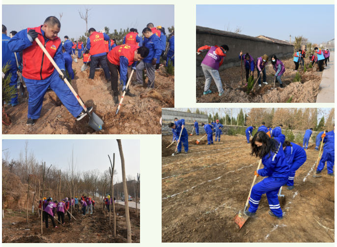 【植樹節(jié)】植一片綠色 播種一片希望——集團(tuán)黨委組織植樹綠化活動27
