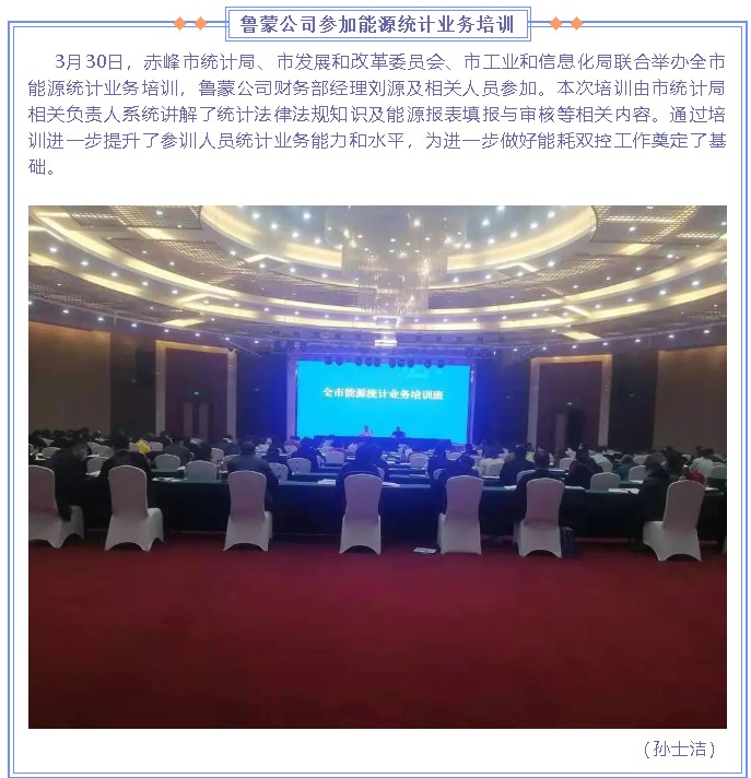魯蒙公司參加能源統(tǒng)計業(yè)務(wù)培訓(xùn)63