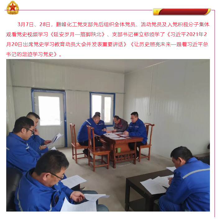 黨史學(xué)習(xí)教育 3月份集團(tuán)黨委黨史學(xué)習(xí)教育動(dòng)態(tài)76