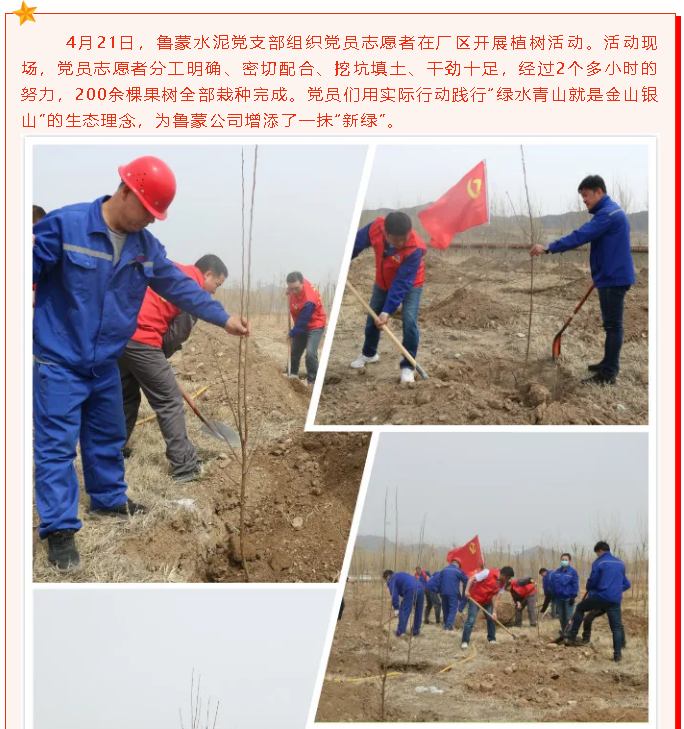 魯蒙水泥黨支部開展植樹活動(dòng)42