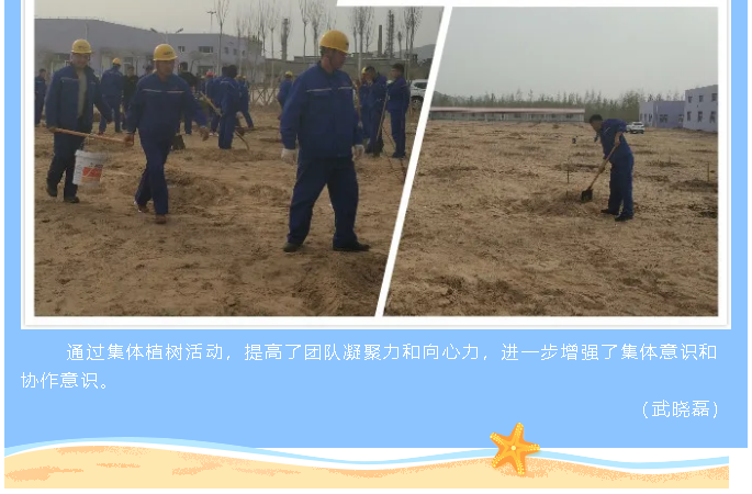 鵬峰化工開展植樹綠化活動1