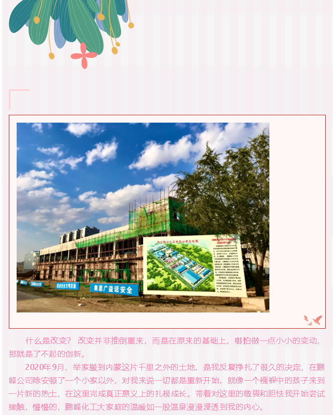 【員工風采】鵬峰，我向你奔赴而來45