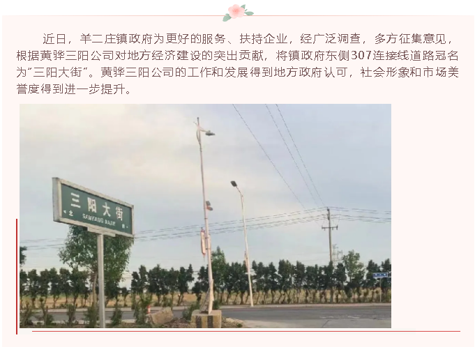 【榮譽】307連接線道路冠名為“三陽大街”23