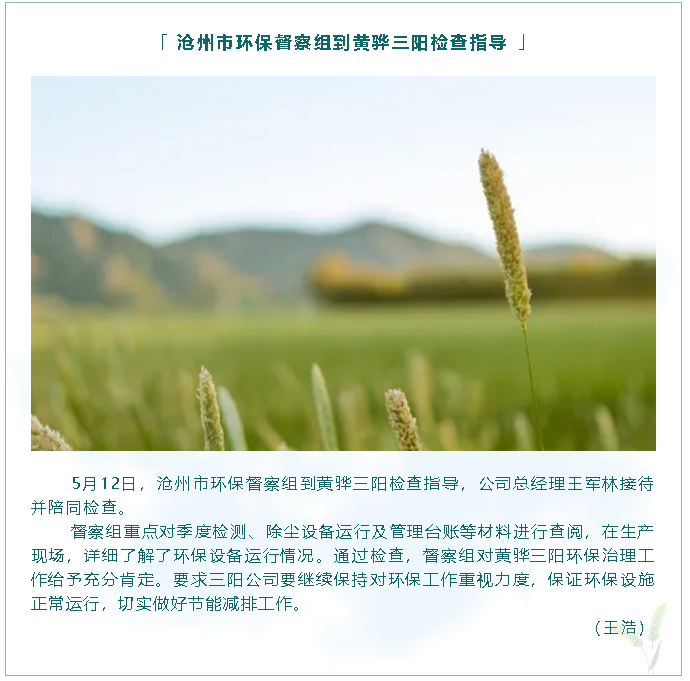 滄州市環(huán)保督察組到黃驊三陽檢查指導(dǎo)90