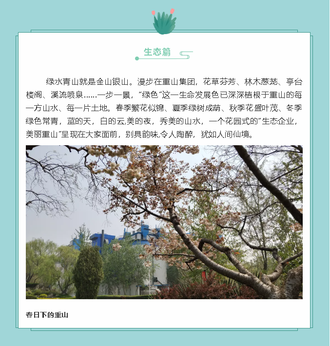 【鏡頭里的重山】邀您共賞重山之美！71