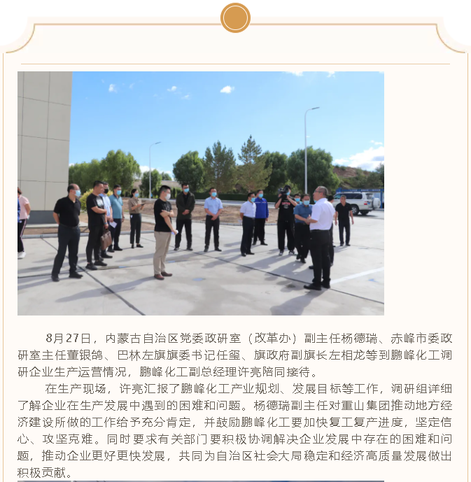 自治區(qū)黨委政研室到鵬峰化工調(diào)研指導(dǎo)工作34