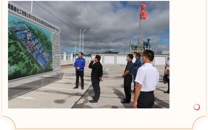 自治區(qū)黨委政研室到鵬峰化工調(diào)研指導(dǎo)工作34