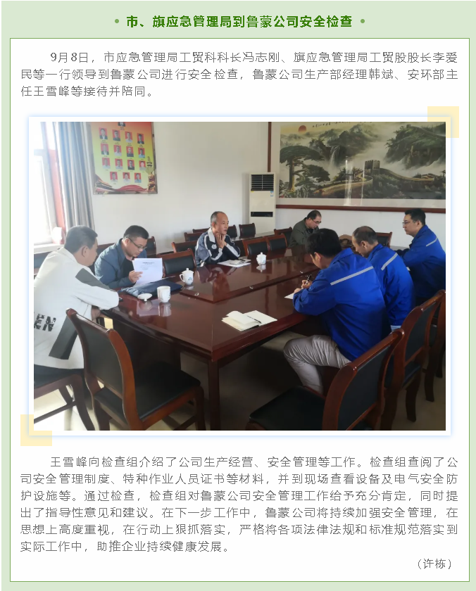 市、旗應(yīng)急管理局到魯蒙公司安全檢查40