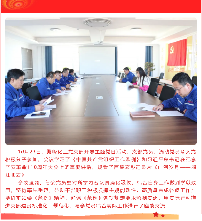 鵬峰化工黨支部開展主題黨日活動(dòng)32