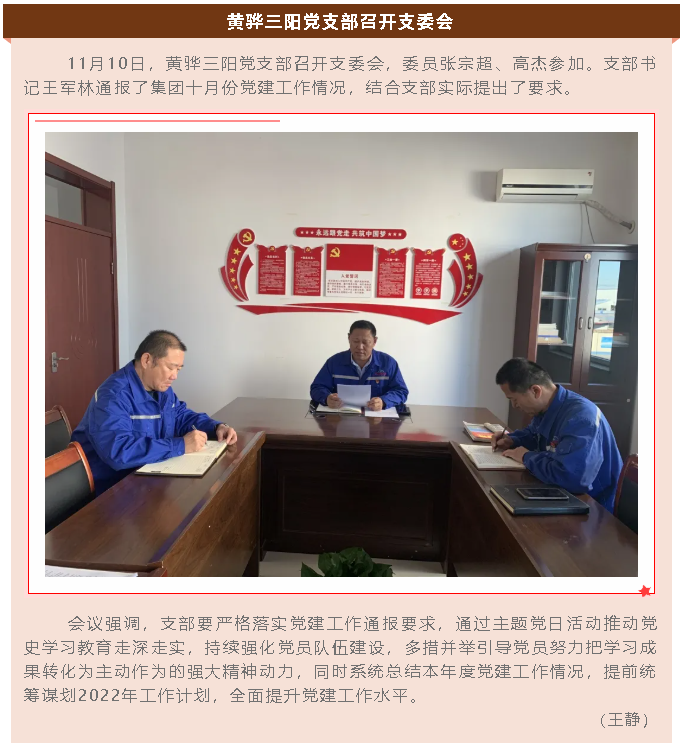 黃驊三陽黨支部召開支委會55